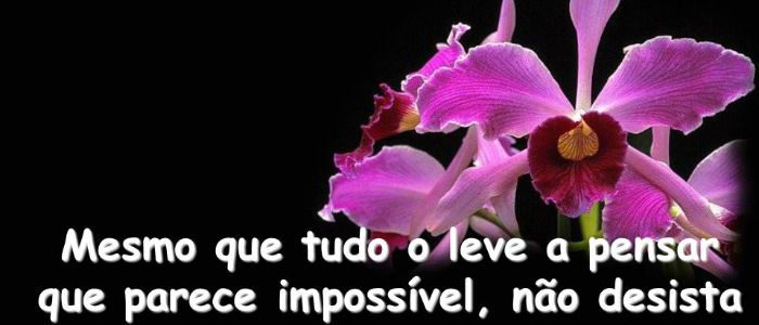 Sonhando o mesmo sonho